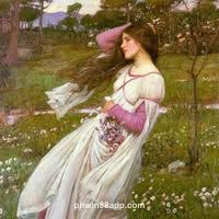 Avatar of Debra Carey