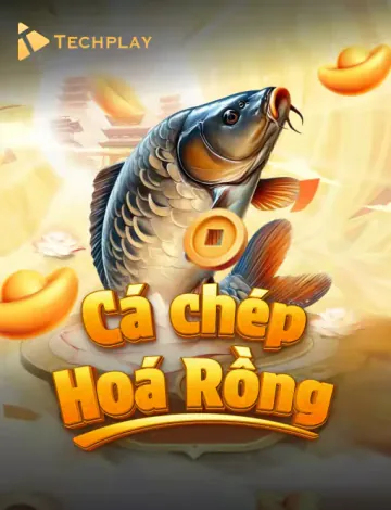 CÁ CHEP HOA RỒNG